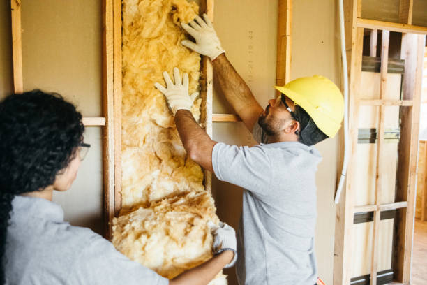 Best Best Insulation Companies  in Hyde Rk, PA
