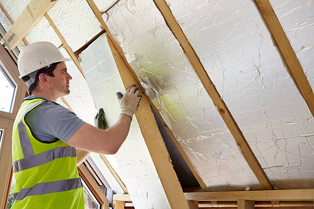 Best Insulation Removal Services  in Hyde Rk, PA